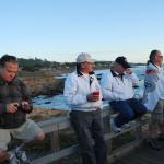 Cambria_0205 (November 05, 2011)